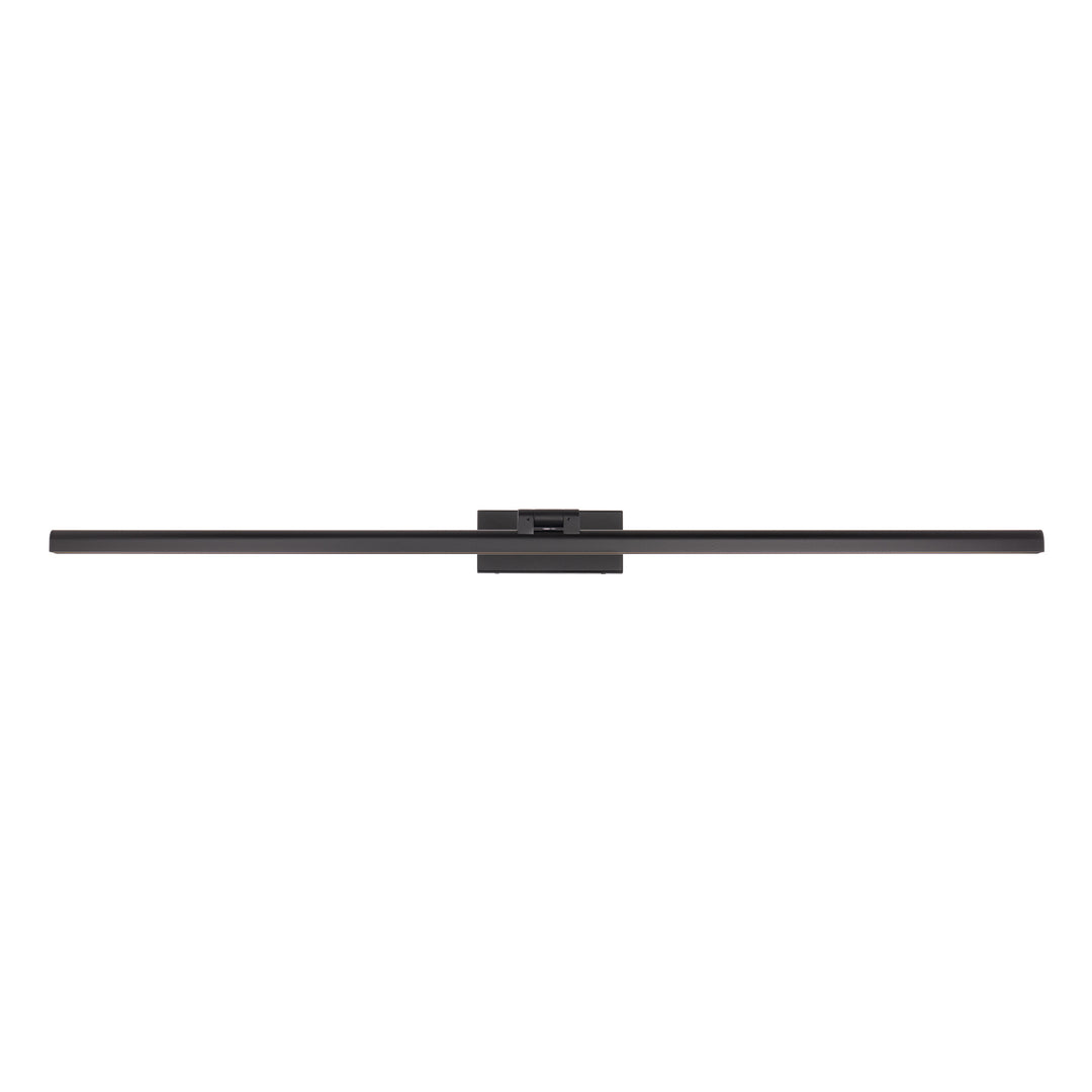Reed Picture Light 3000K by WAC Lighting - view 19