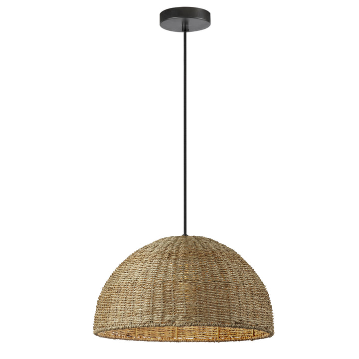 Pourel 1 Light Incandescent Pendant by Dainolite