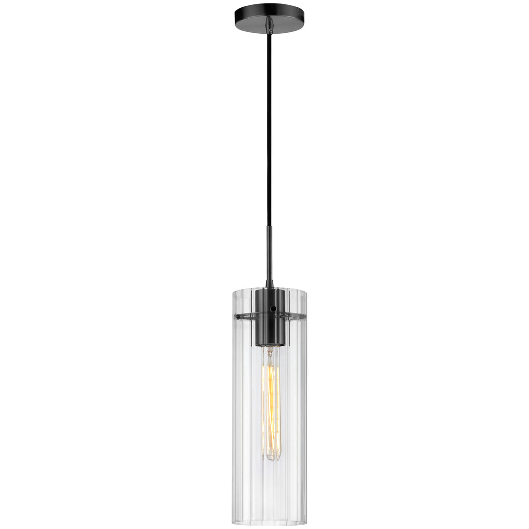 Patia 1 Light Incandescent Pendant in Matte Black by Dainolite