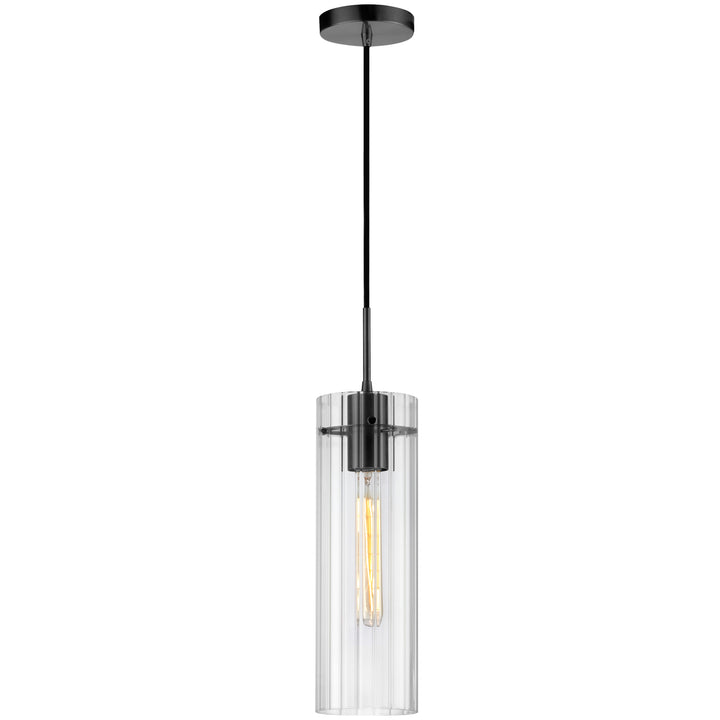 Patia 1 Light Incandescent Pendant in Matte Black by Dainolite
