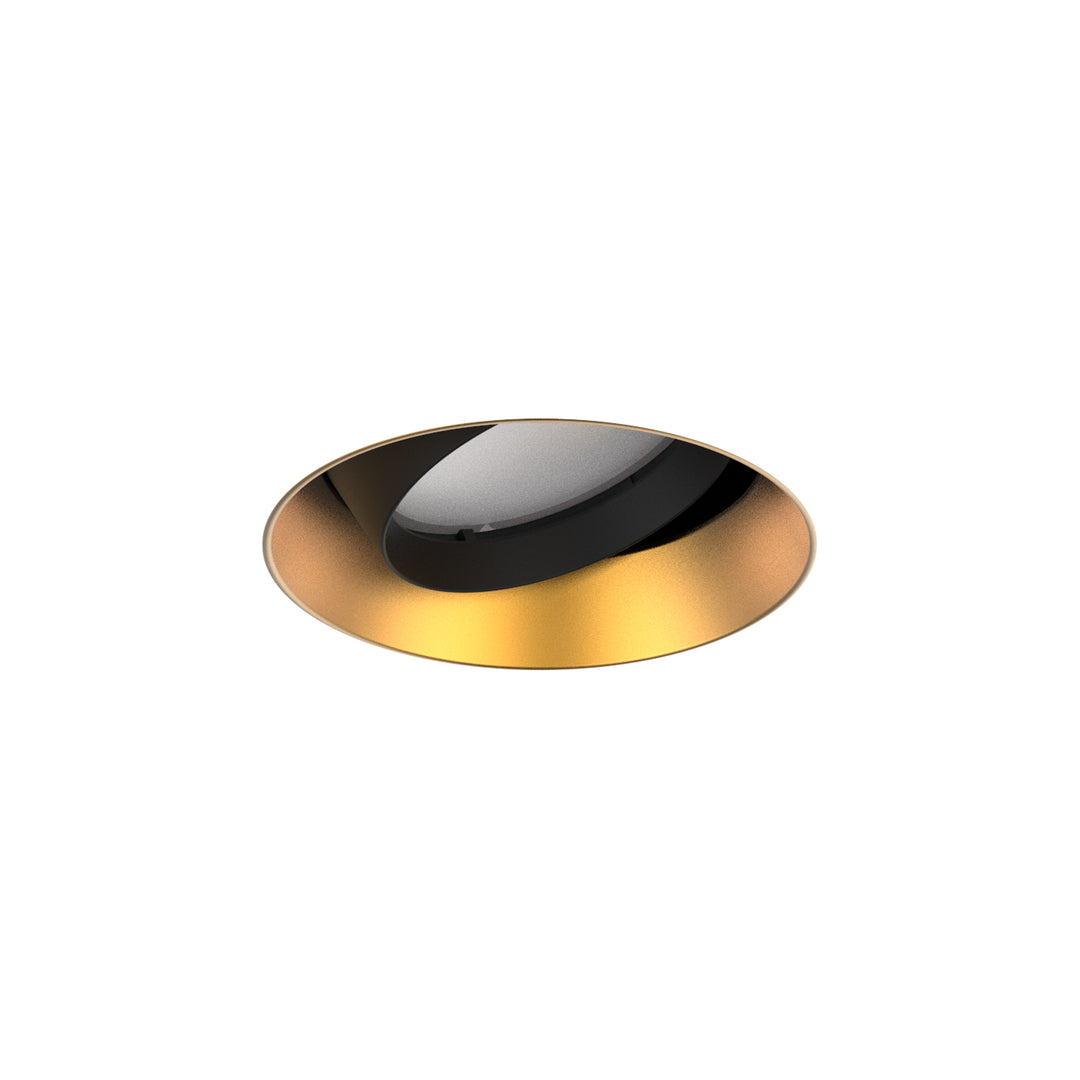 Aether Atomic Round Adjustable Trimless in Gold by WAC Lighting