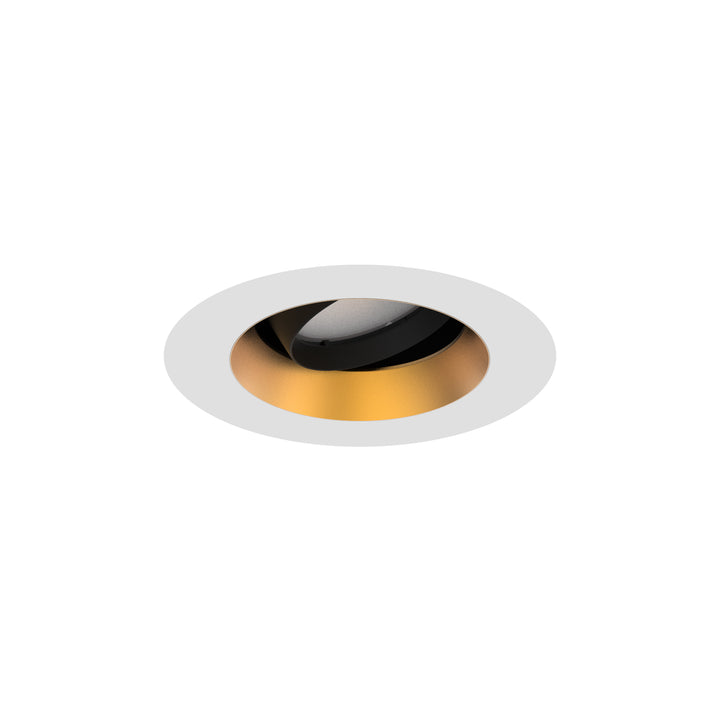 Aether Atomic Round Adjustable Trim in Gold/White by WAC Lighting