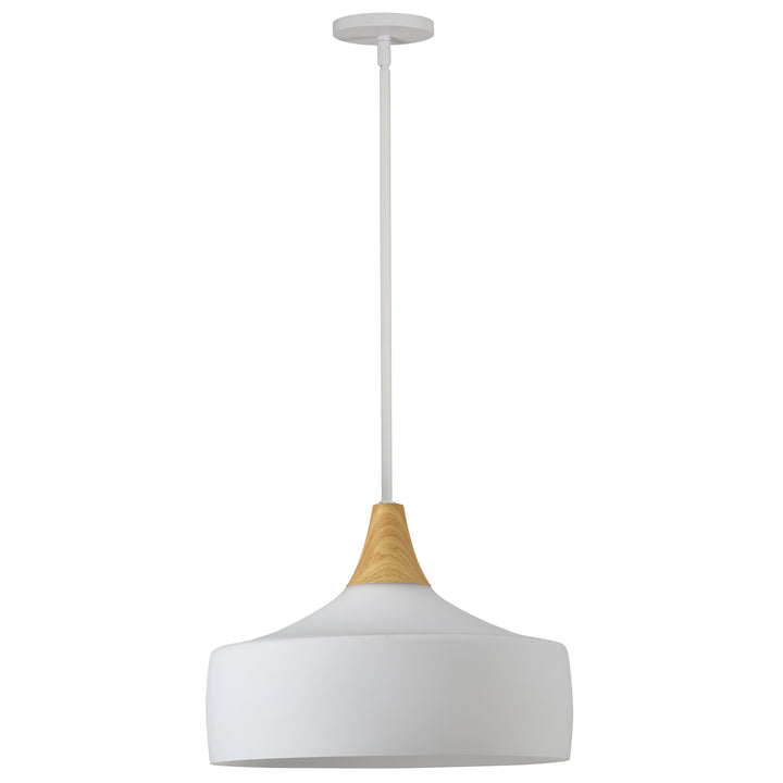 Rachana 1 Light Pendant in Faux Wood by Dainolite