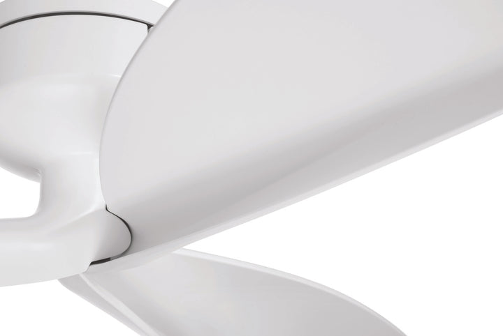Rafiki 52" Ceiling Fan