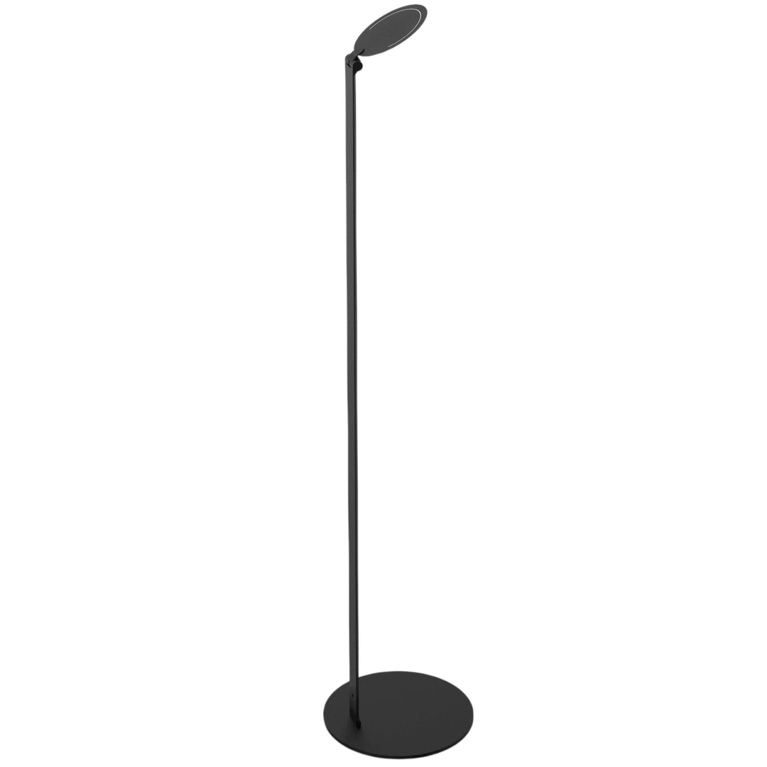 Regina 9W 5CCT Floor Lamp in Sandy Black by Dainolite