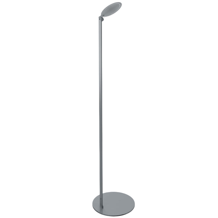 Regina 9W 5CCT Floor Lamp in Silver by Dainolite