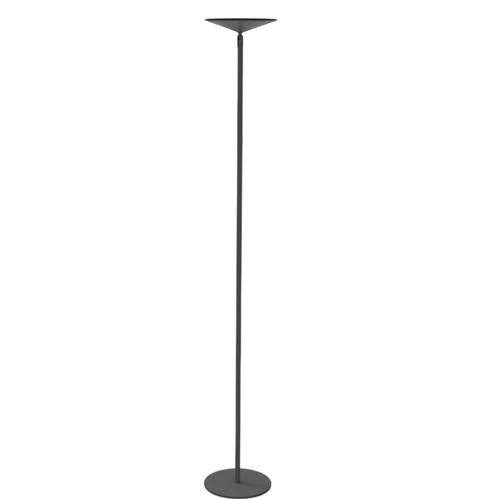 Raquel 24W 5CCT Floor Lamp in Matte Black by Dainolite