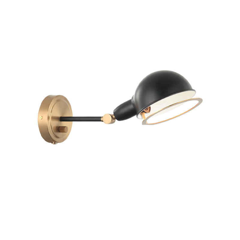 Steel Frame with Adjustable Head Two Tone Wall Sconce