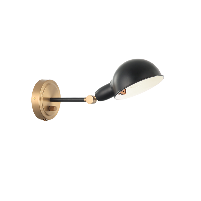 Steel Frame with Adjustable Head Two Tone Wall Sconce