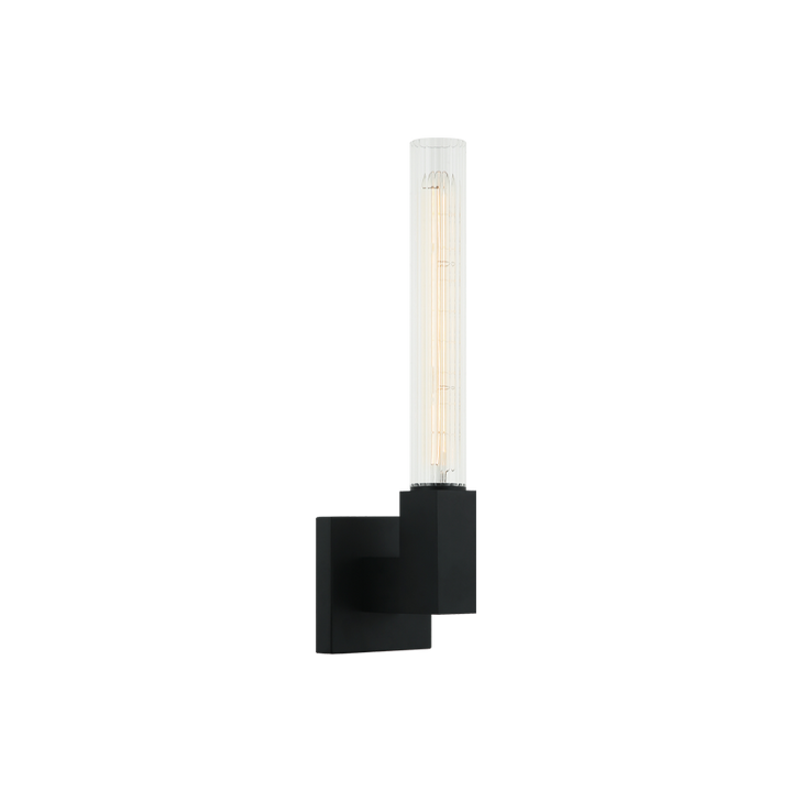 Steel Frame with Ribbed Clear Glass Shade Wall Sconce