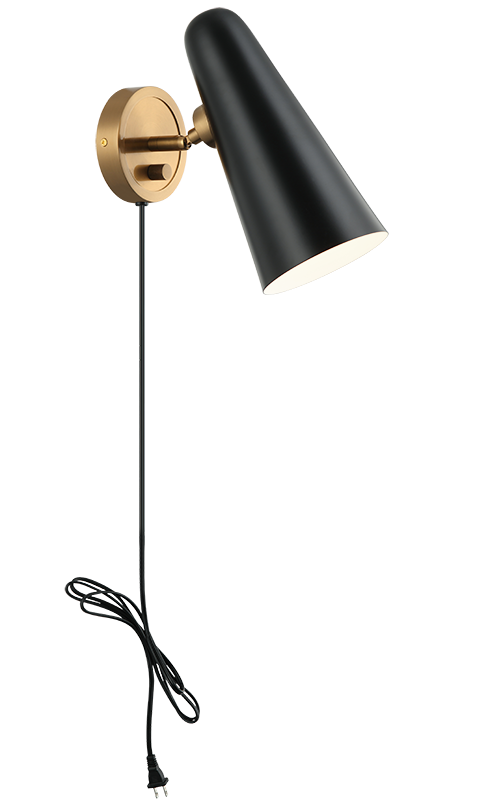 Steel Frame with Adjustable Head Wall Sconce