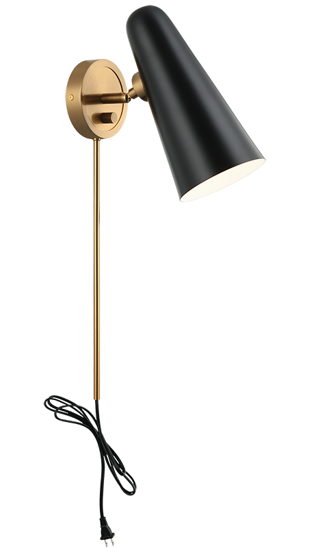 Steel Frame with Adjustable Head Wall Sconce