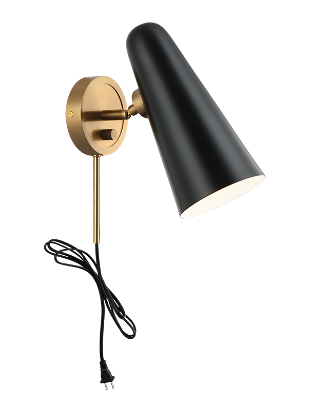 Steel Frame with Adjustable Head Wall Sconce