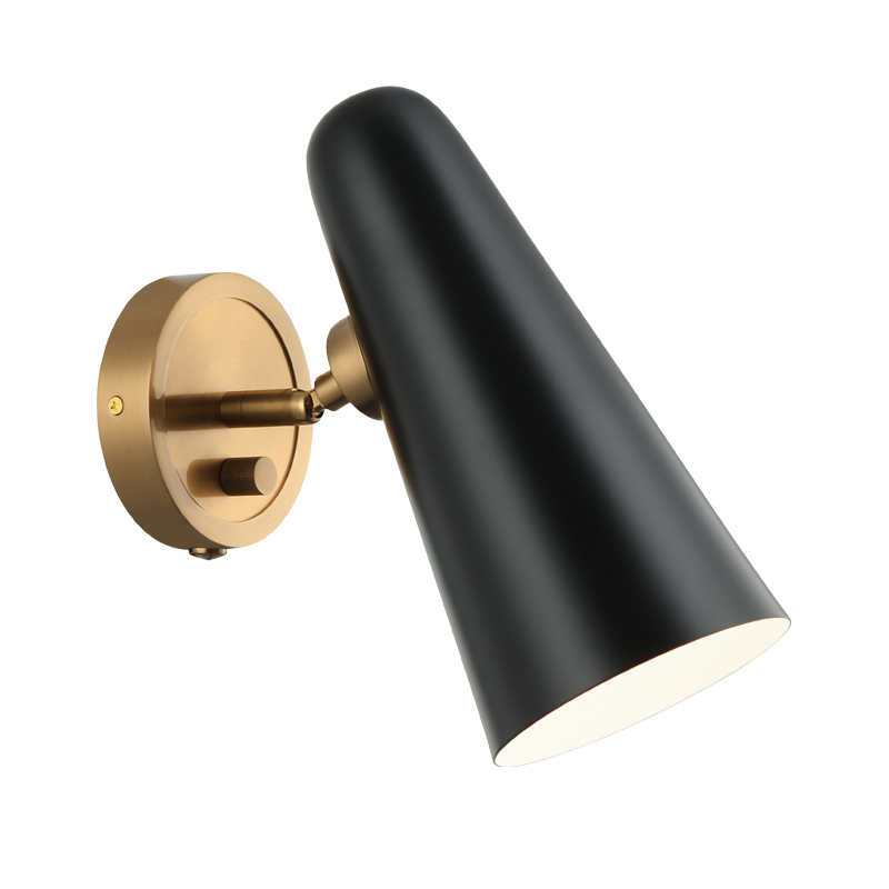 Steel Frame with Adjustable Head Wall Sconce
