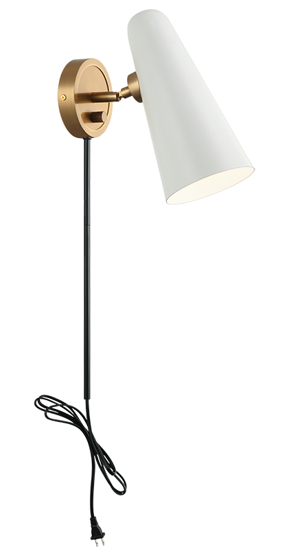 Steel Frame with Adjustable Head Wall Sconce