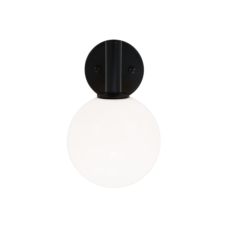 Steel Frame with Glass Globe Wall Sconce