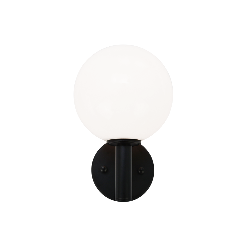 Steel Frame with Glass Globe Wall Sconce