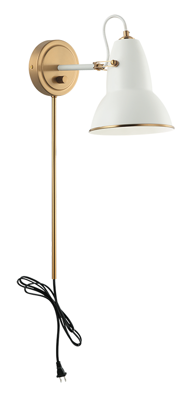 Steel Frame Two Tone Shade Wall Sconce