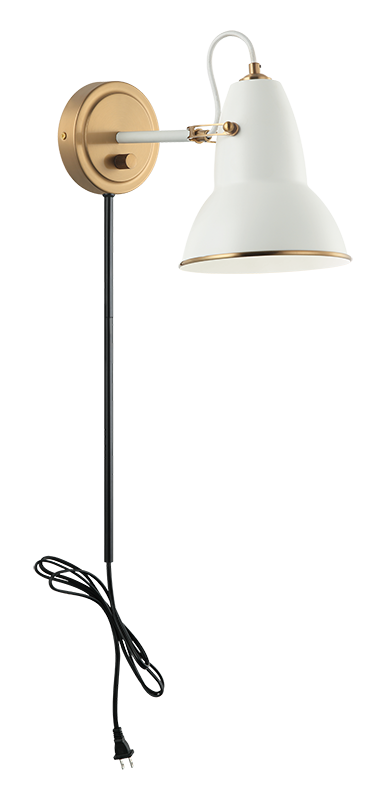 Steel Frame Two Tone Shade Wall Sconce