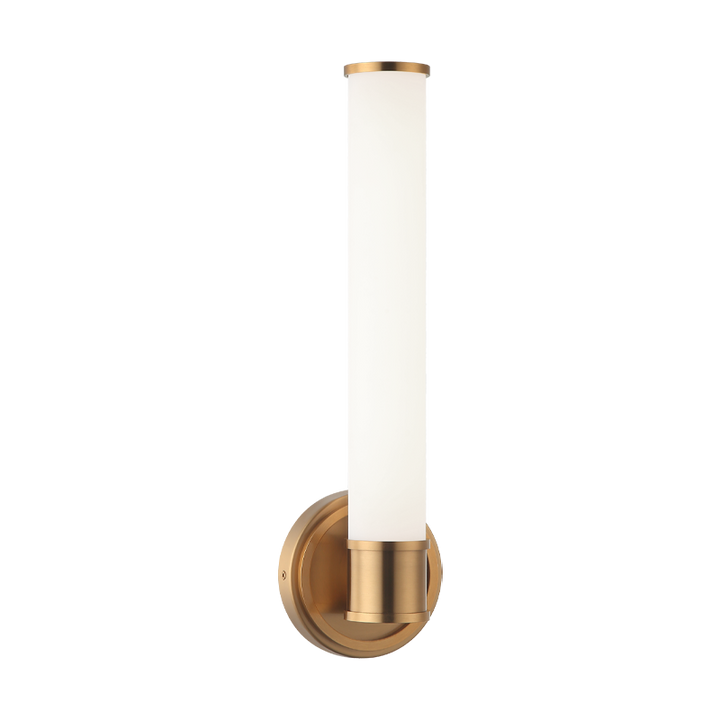 LED Steel Frame with White Glass Diffuser Wall Sconce