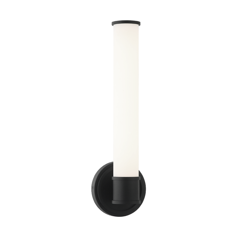 LED Steel Frame with White Glass Diffuser Wall Sconce