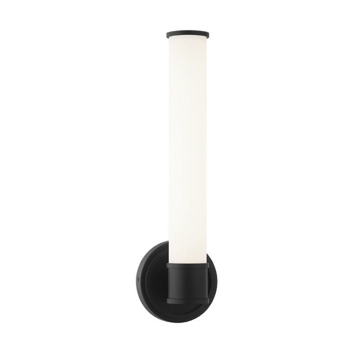 LED Steel Frame with White Glass Diffuser Wall Sconce