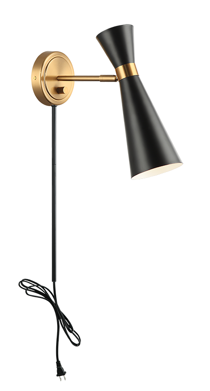 Steel Frame with Adjustable Head Two Tone Wall Sconce