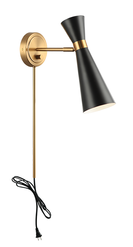 Steel Frame with Adjustable Head Two Tone Wall Sconce