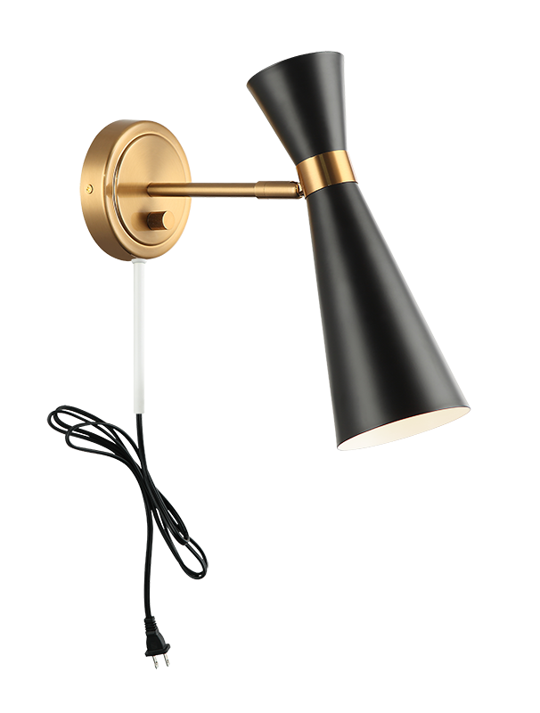 Steel Frame with Adjustable Head Two Tone Wall Sconce