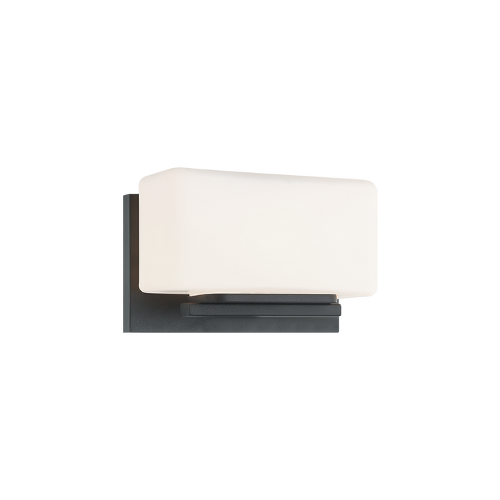 Steel Frame with White Glass Shade Wall Sconce