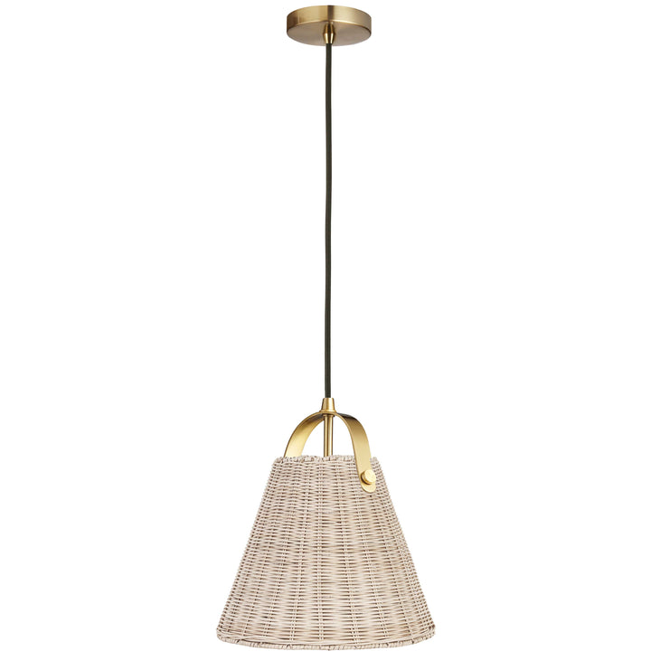 Shenandoah 1 Light Pendant in Aged Brass by Dainolite