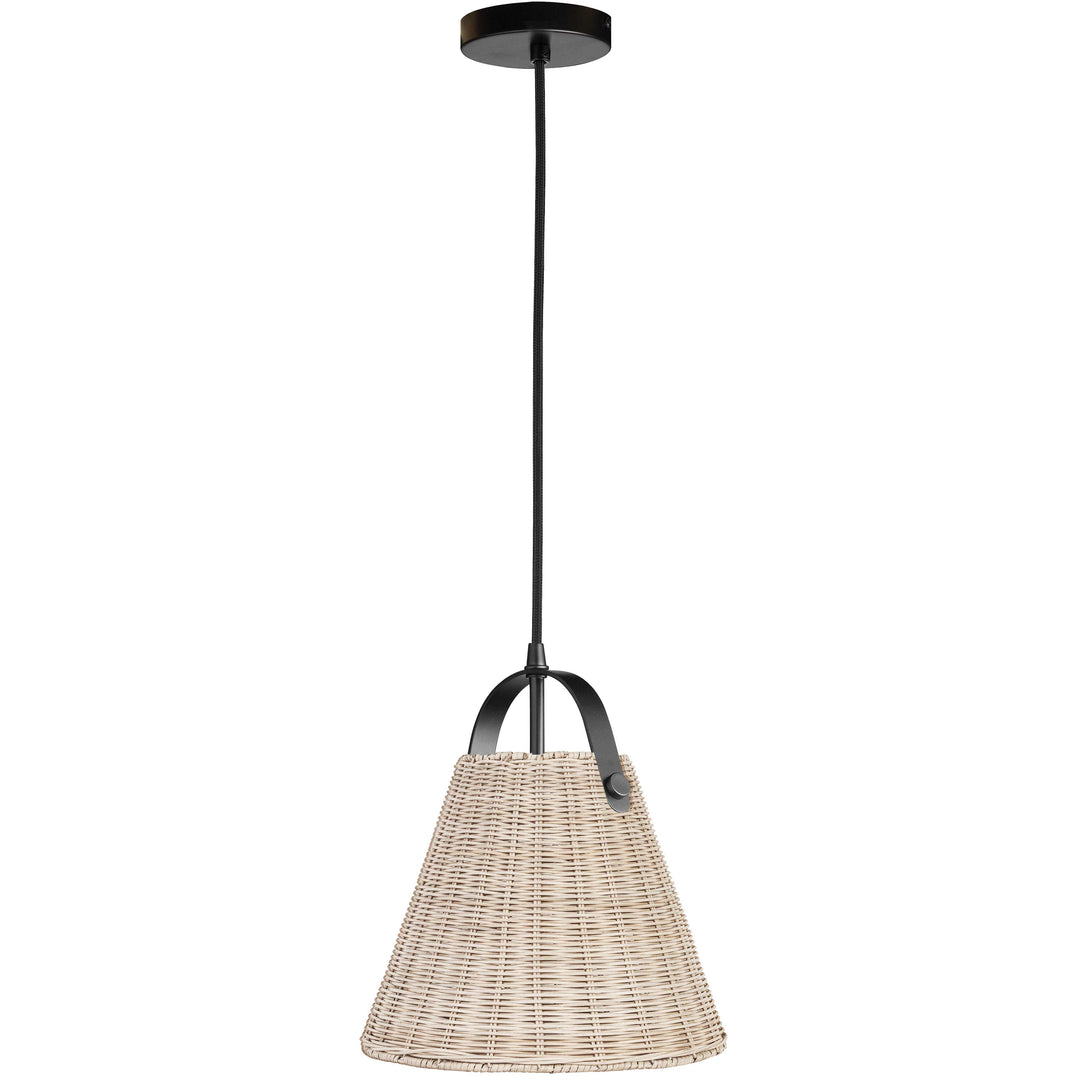 Shenandoah 1 Light Pendant in Matte Black by Dainolite