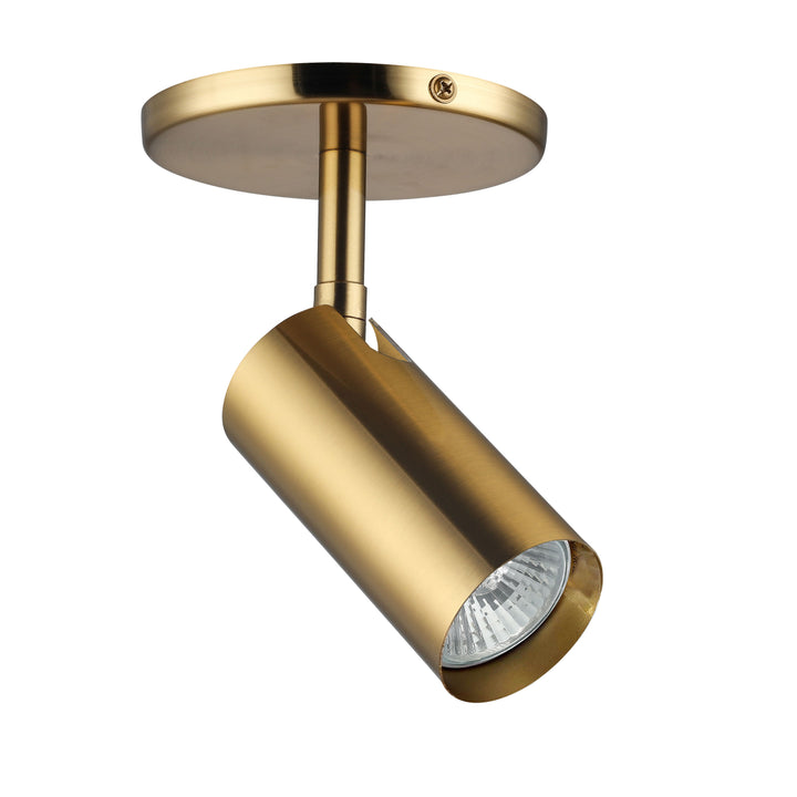 Stanly 1 Light Halogen Spotlight in Aged Brass by Dainolite