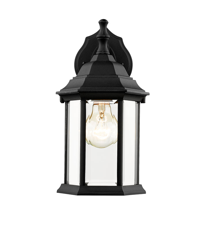 Waterdown - 1 Light Outdoor Wall Light (T21BK)