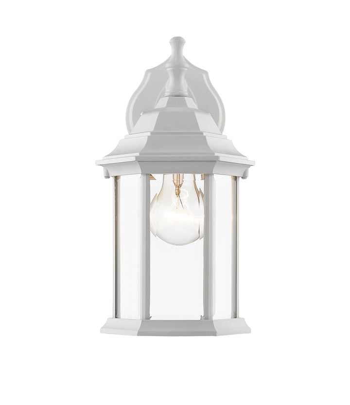 Waterdown - 1 Light Outdoor Wall Light (T21WH)