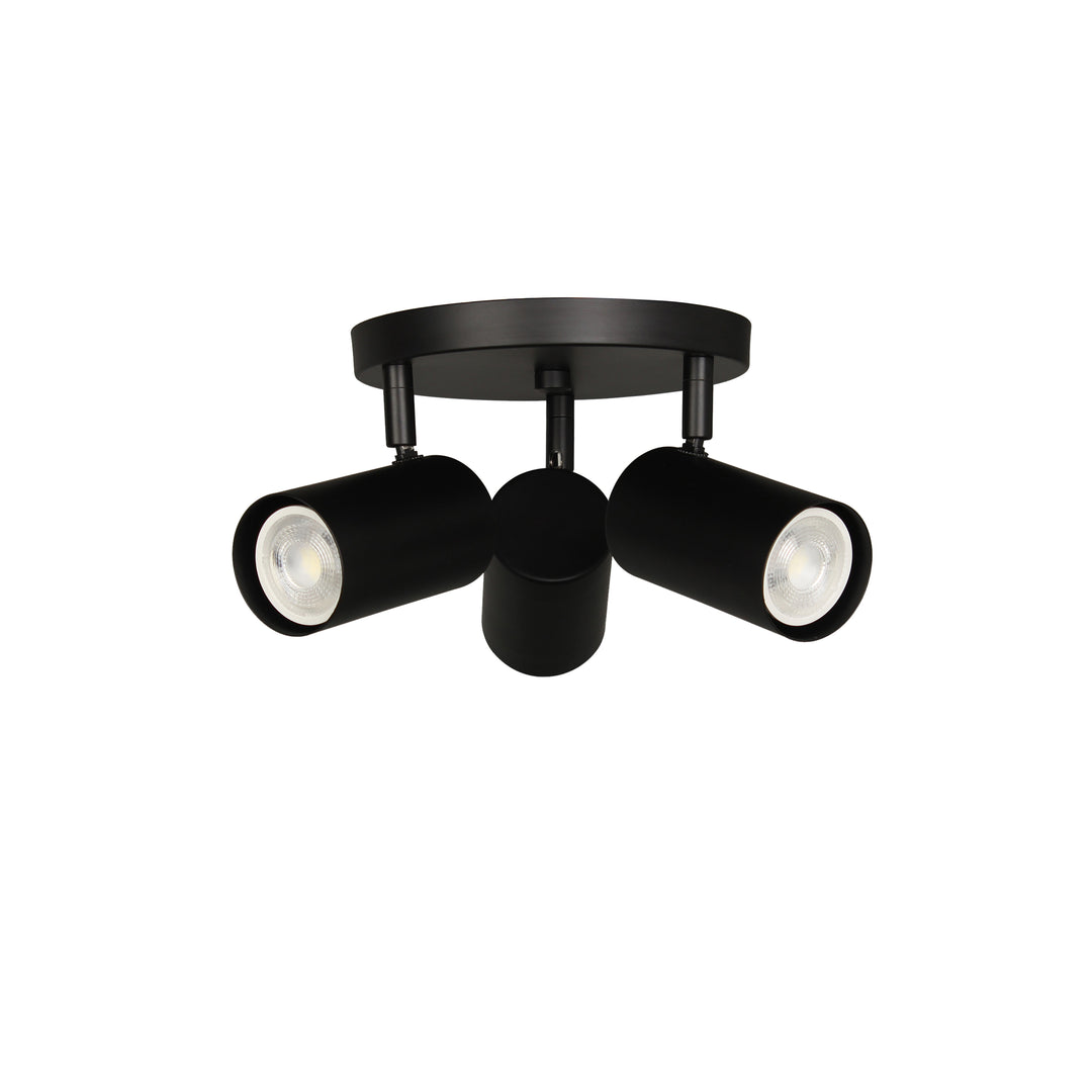 Taylor 3 Light Spot Light in Matte Black by Dainolite