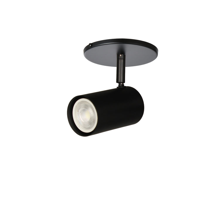 Taylor 1 Light Spot Light in Matte Black by Dainolite