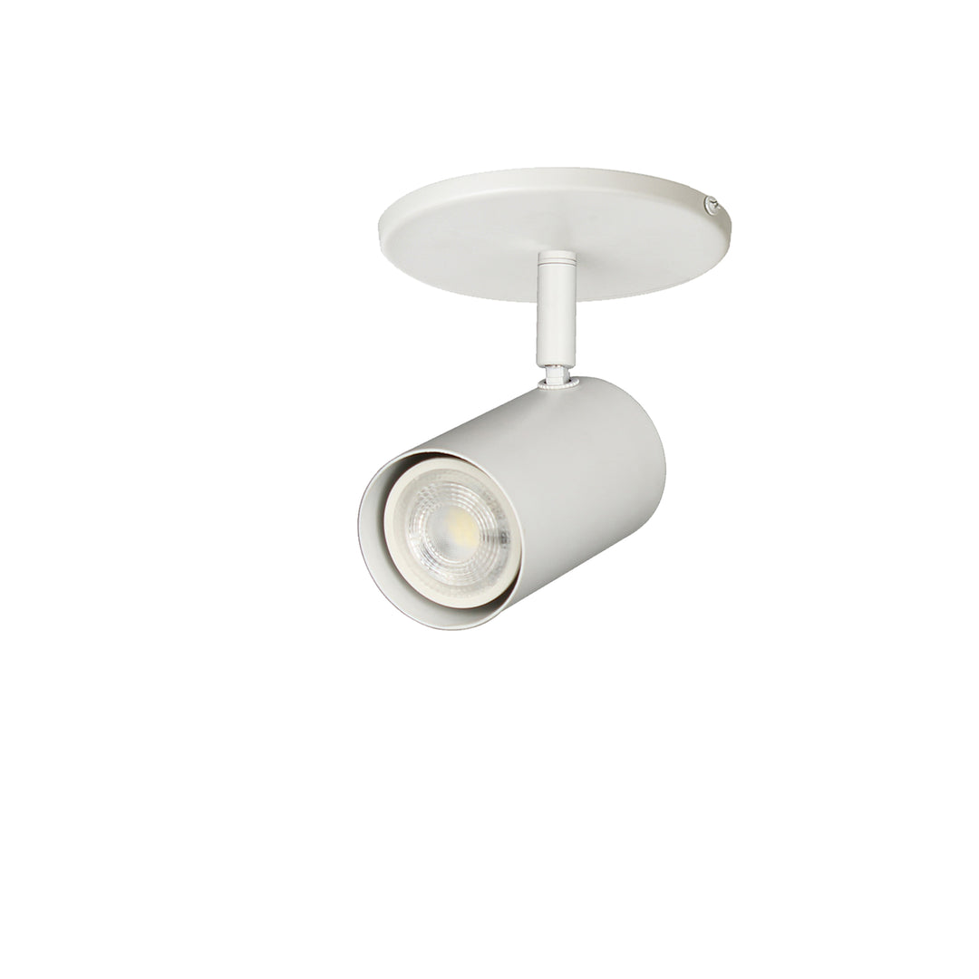 Taylor 1 Light Spot Light in Matte White by Dainolite