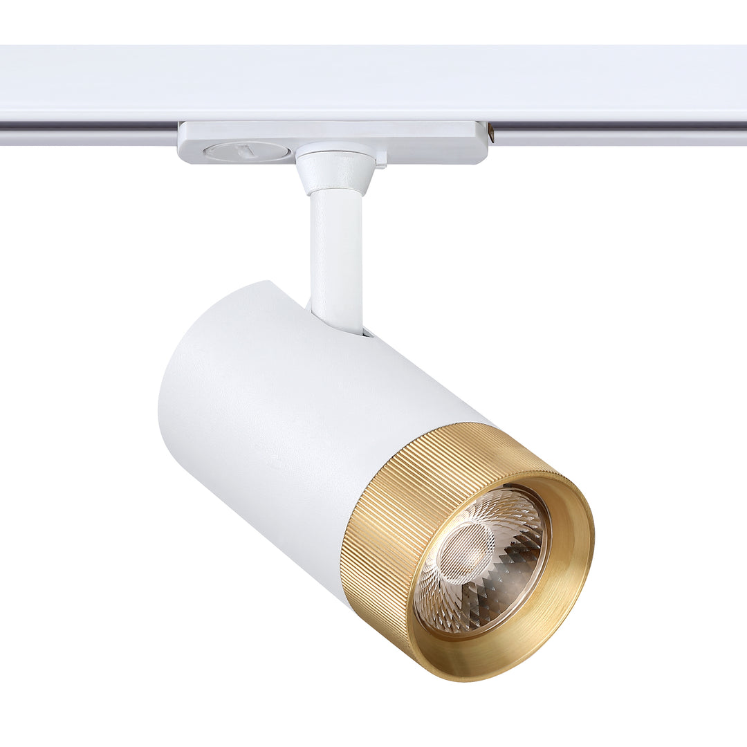 Trac-Tech Integrated LED Track Cylinder (8W - 20W)