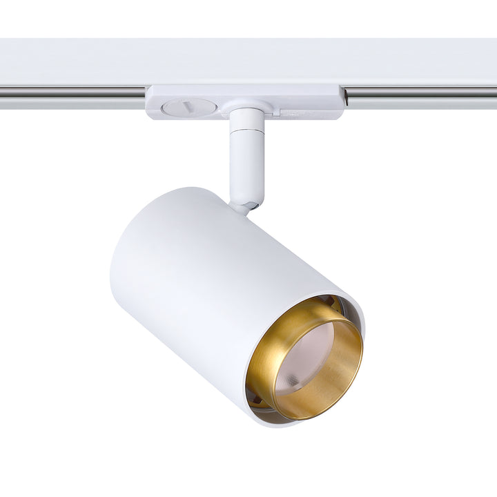 Trac-Tech Integrated LED Track Cylinder (8W - 20W)