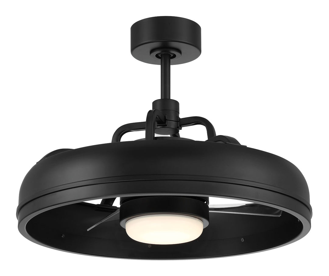 Taylor Fandelier 20" Ceiling Fan