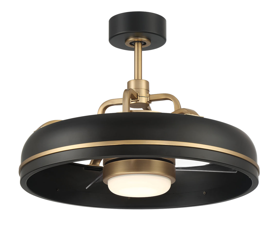 Taylor Fandelier 20" Ceiling Fan