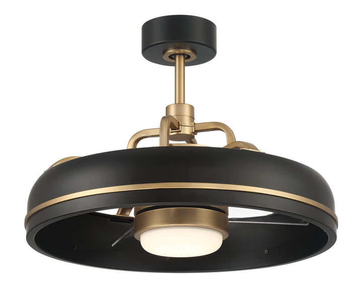 Taylor Fandelier 20" Ceiling Fan