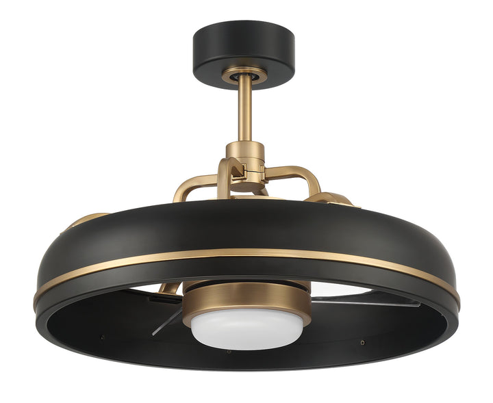 Taylor Fandelier 20" Ceiling Fan