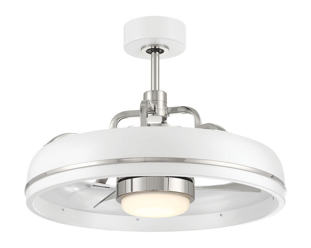 Taylor Fandelier 20" Ceiling Fan