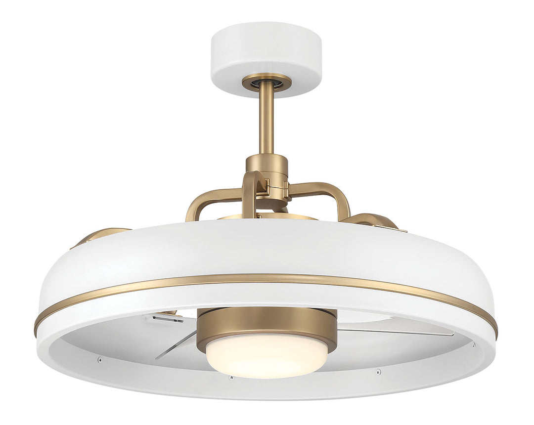 Taylor Fandelier 20" Ceiling Fan