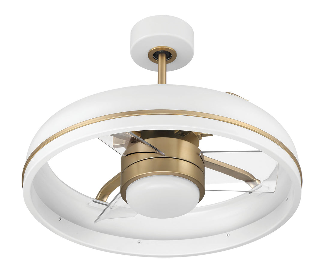 Taylor Fandelier 20" Ceiling Fan