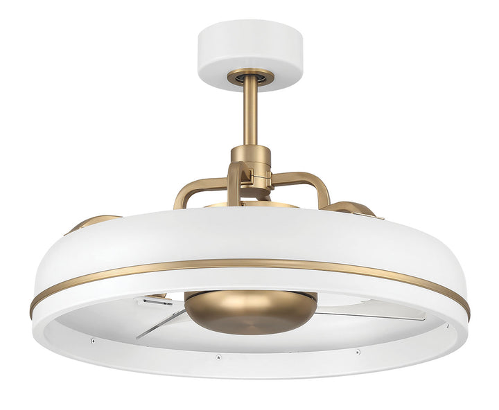 Taylor Fandelier 20" Ceiling Fan