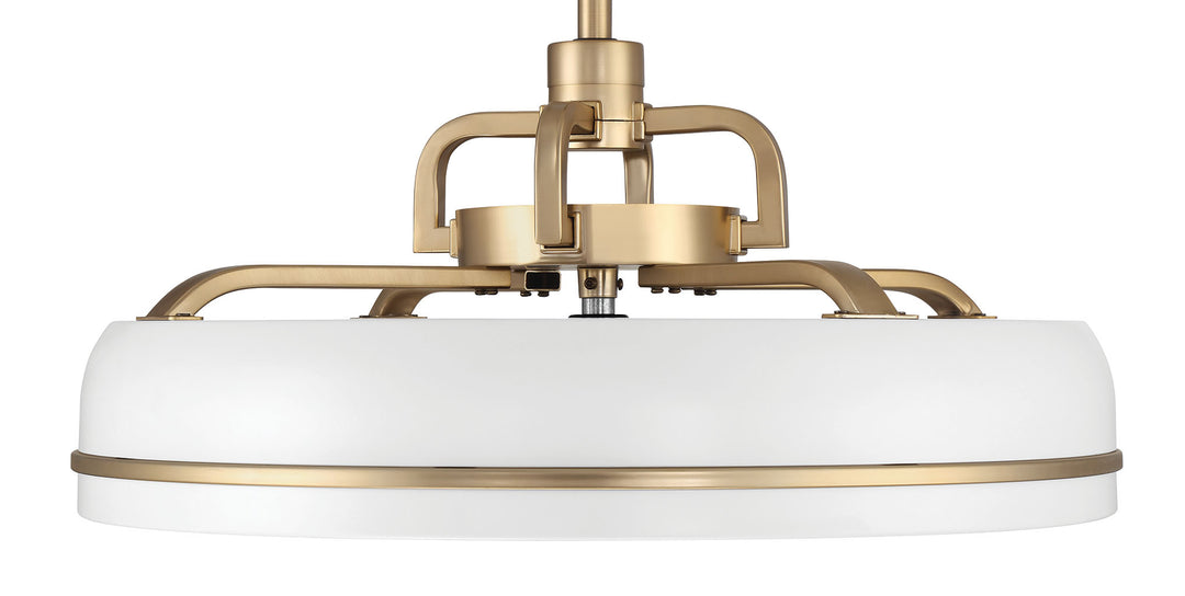 Taylor Fandelier 20" Ceiling Fan