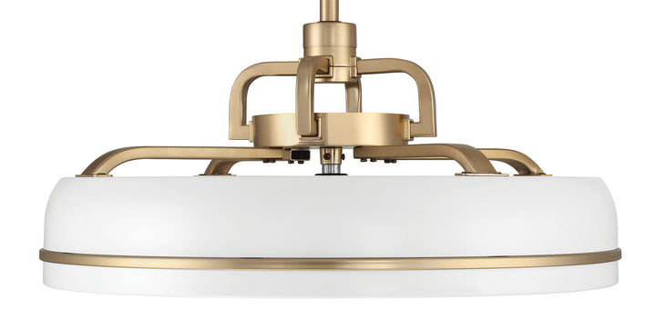 Taylor Fandelier 20" Ceiling Fan